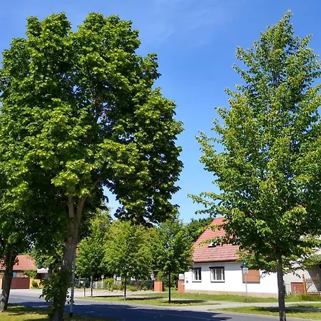 Fw Wölfer * Velten